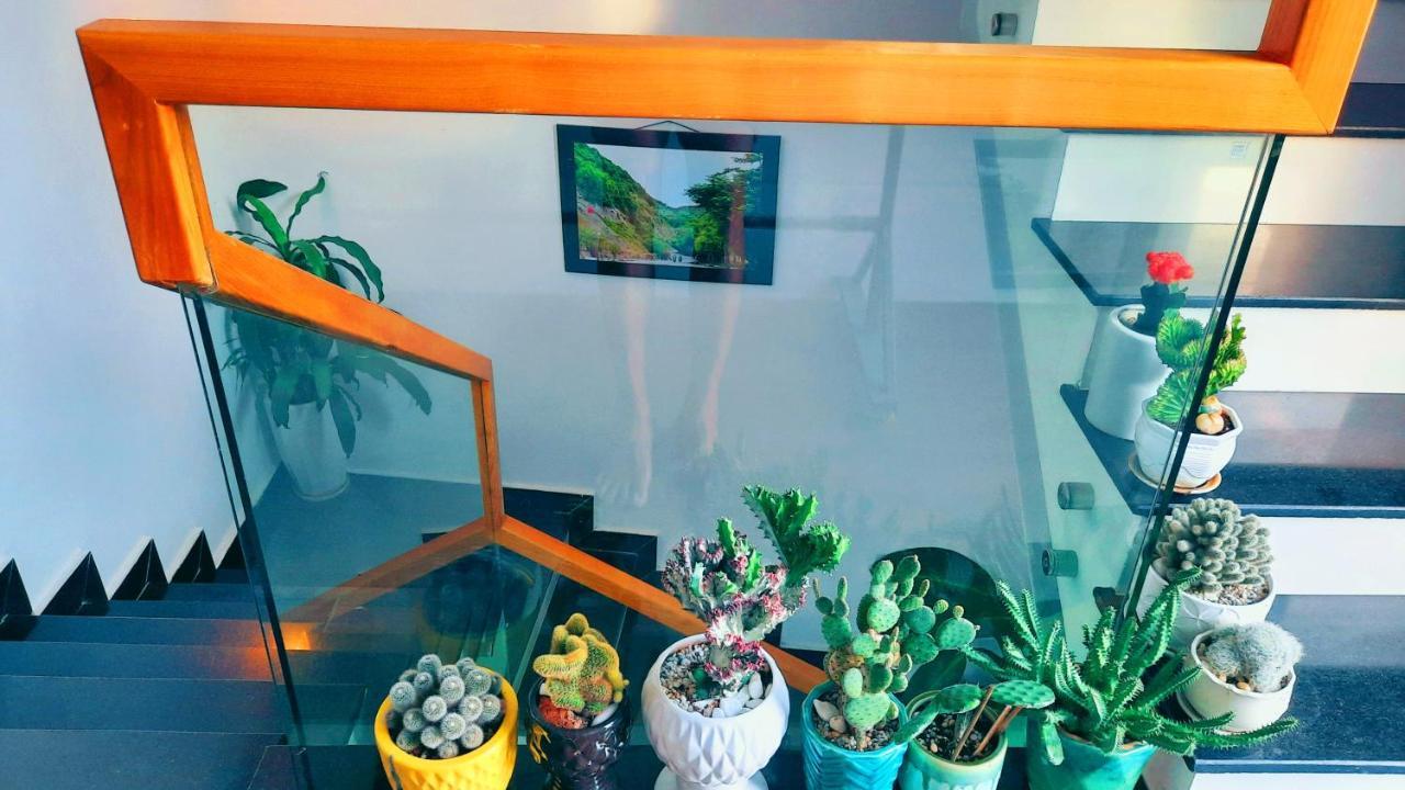 Sena 3*3*near Dragon Bridge*han River Homestay